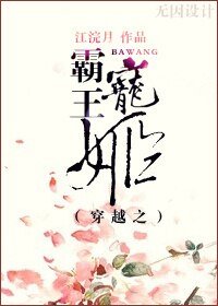 穿越之霸王寵姬